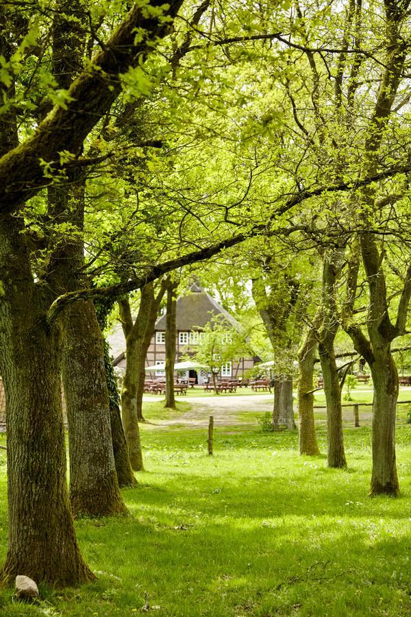 Hotel Hof Tutsberg Bispingen Kültér fotó